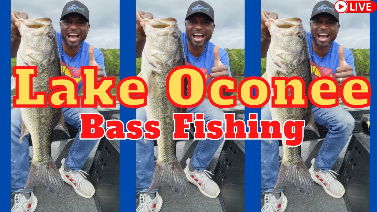 Lake Oconee Monsters! Shallow Bass Fishing with Mega Live 1.200 