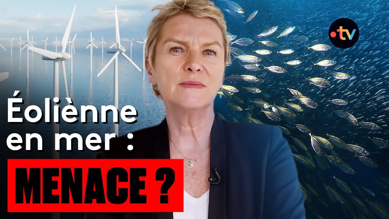 Parcs éoliens en mer : danger sur le littoral ? I Envoyé Spécial