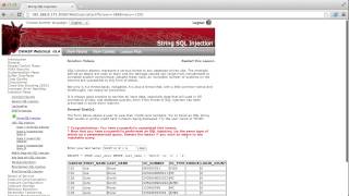 Ishlangu - Protecting Against SQL Injection Attacks