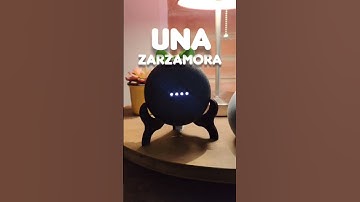 Google Home hablando en francés #retoshorts30 #comedia