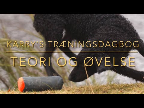 Video: 4 træningsfejl du aldrig bør gøre