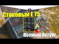 E 75 ИЗ СТОКА В ТОП WOT BLITZ / ДАВНО МЕНЯ ТАК НЕ ТРЯСЛО