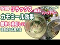 【ノンカフェイン】簡単で美味しいハーブティー：カモミールティーの作り方！美肌・安眠・胃腸改善・風邪予防！効果と注意点も！chamomile tea