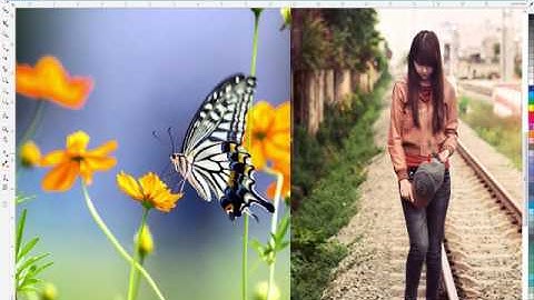 Tự học Corel X7 trọn bộ   Bài 12 Xử lý ảnh Bipmap P2