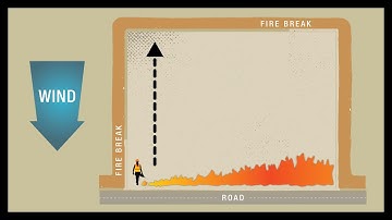 Prescribed Fire Ignition Techniques - Backing Fire