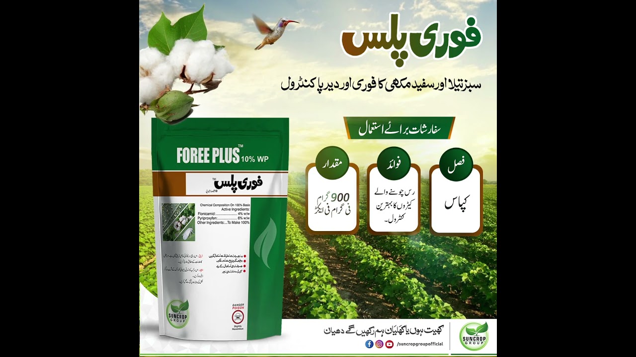 سن کراپ گروپ کا " فوری پلس" سبز تیلا اور دیگر رس چوس کیڑوں کا فوری کنٹرول.