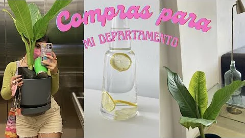 Compras en Walmart para mi depa