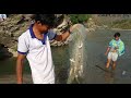 ओहो! कति धेरै माछा 🐟 Gill Net Fishing, Seti River Doti