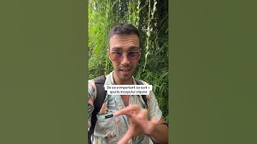 Algoritmul TikTok te trimite la oameni in functie de ce zici tu in clip