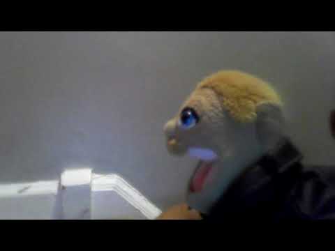 leo gets rob