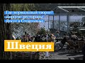 Какой еды не хватает в Швеции и чем отличается досуг в Стокгольме