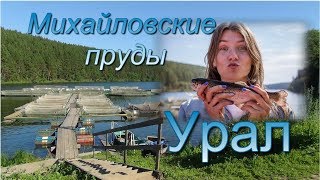 Урал  Михайловск  Необычная плотина и речная форель