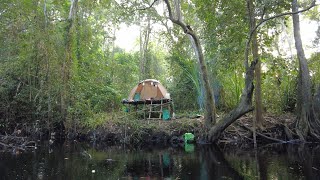 BERMALAM DI HUTAN SUNGAI, RAWA KALIMANTAN