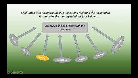 Understanding the Monkey Mind