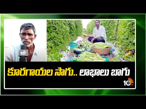 కూరగాయల సాగు.. లాభాలు బాగు | Vegetable cultivation Bring profits | Matti manishi | 10TVNews