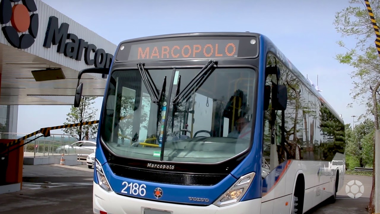 Torino Low Entry MiBus