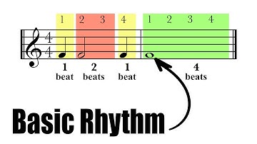 Understanding Basic Rhythm | Whole Notes, Half Notes, Quarter Notes | Music Theory Tutorial