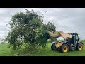 Clearing fallen trees with the JCB