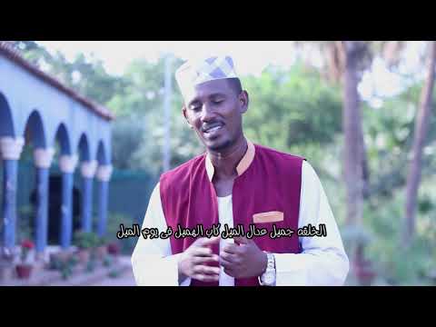 شفاع الويل كرم الدين احمد ادم