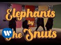 The snuts  elephants official music