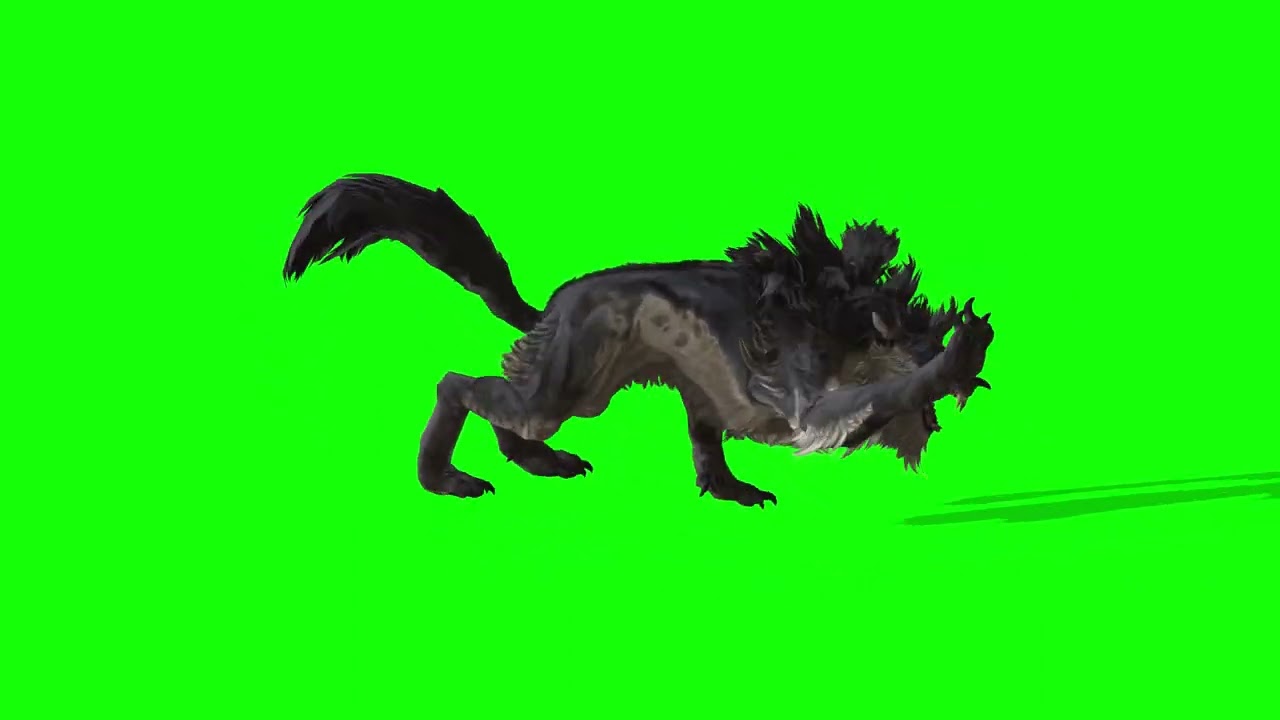 Non Copy Right   free green screen video, visual effects,  animal, beast, chroma key