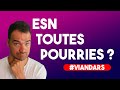 Quelles alternatives aux esnssii  dveloppeurs