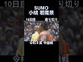 #令和8年#大相撲#夏場所#中盤戦#若隆景#sumo#shorts