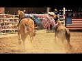 Whatever it takes  rodeo horse music