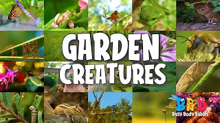 Garden Creatures
