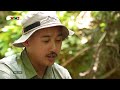 BẢO TỒN THIÊN NHIÊN QUA NHỮNG THƯỚC PHIM MÃN NHÃN