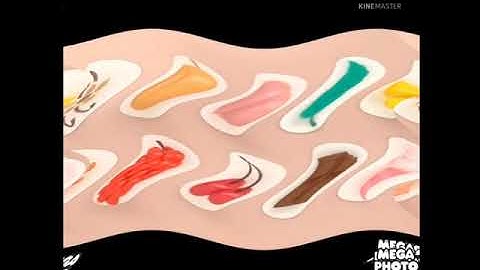 Oops you broke num noms intro fixed