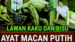 BACA 1 KALI LAWAN KAKU DAN BISU