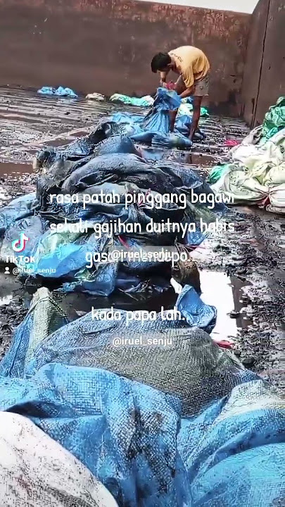 kada papa lah.. #trending #bahasabanjar #fyp #pelautpunyacerita #batubarakalimantan #katakatabijak