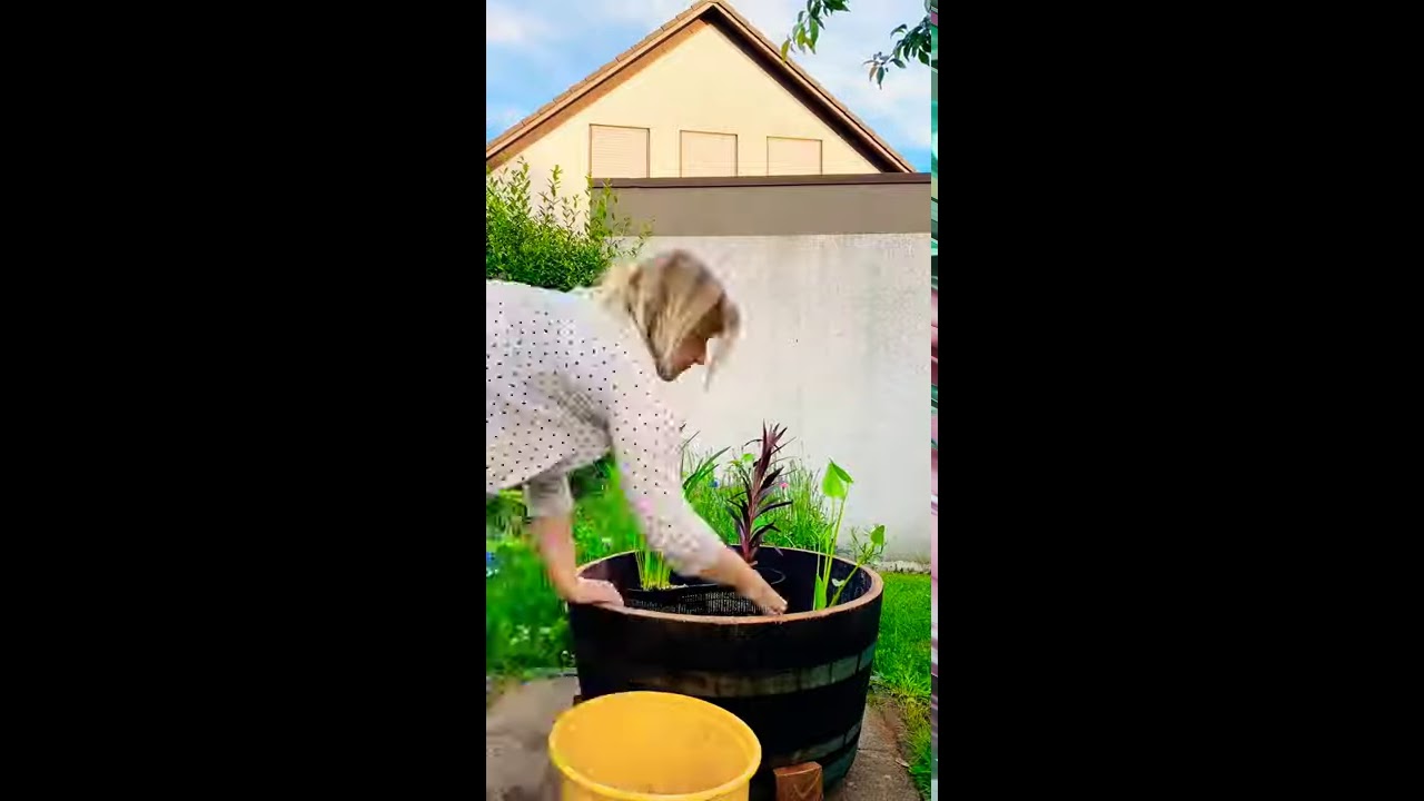 Miniteich im Weinfass