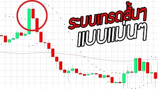 สอน Forex เบื้องต้น : เทรด Forex มือใหม่ รู้ได้อย่างไรว่า ค่าเงินแข็งค่า / อ่อนค่า กราฟไปทางไหน?