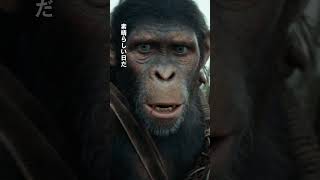 「なんて素晴らしい日だ！」『猿の惑星／キングダム』特別映像解禁！猿が支配する世界で、人類に希望は残されているのか―＜完全新作＞𝟱.𝟭𝟬(金)公開 #猿の惑星 #猿の惑星キングダム#映画 #shorts