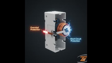 The Shocking Truth About Circuit Breakers Nobody Tells You/The Silent Hero in Your Home.