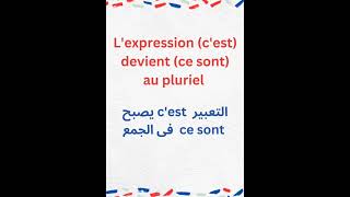 الدرس التاسع من قواعد اللغة الفرنسية : تصريفات الجمع في الفرنسية | Le pluriel en Françes