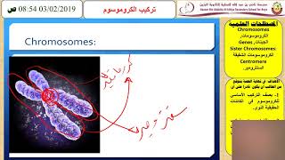 تركيب الكروموسوم للصف العاشر احياء