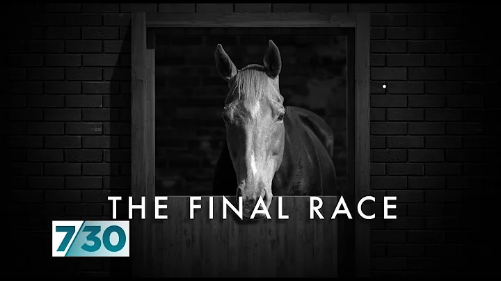 The dark side of Australia's horse racing industry | 7.30 - DayDayNews