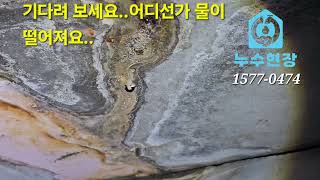 미세누수...#누수#누수탐지#욕실#하수도#빌라#아파트#서울 인천 경기출장