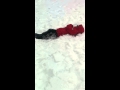 Kid Slide down s snow