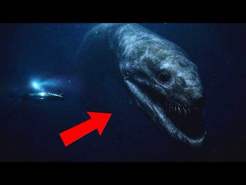 This Creature Hasn’t Been Seen for 100 Million Years — Scientists Just Found One ALIVE