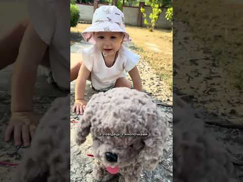 М'яка інтерактивна собачка на повідку 49124, видео 2