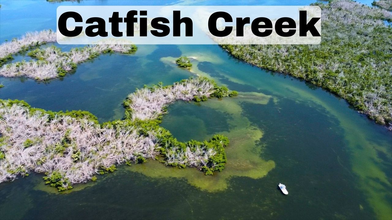 1 Hour Raw and Uncut Redfishing Catfish Creek with Soft Plastic Baits | Charlotte Harbor Fisherman
