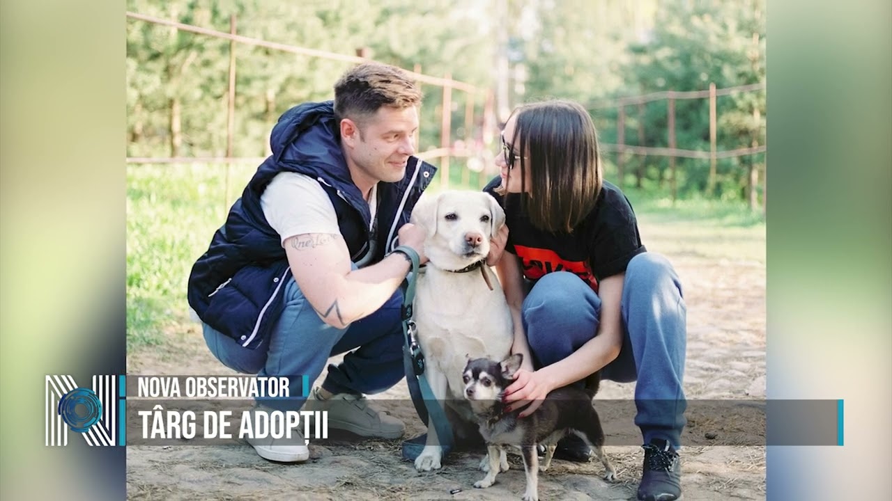 Târg de adopții