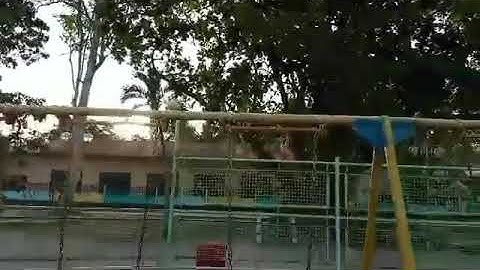 Performance task in computer 10