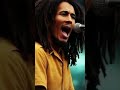 Bob marley Mix Three little Birds v #bobmarley #reaggemusic #onelove #stiritup #waitinginvain #
