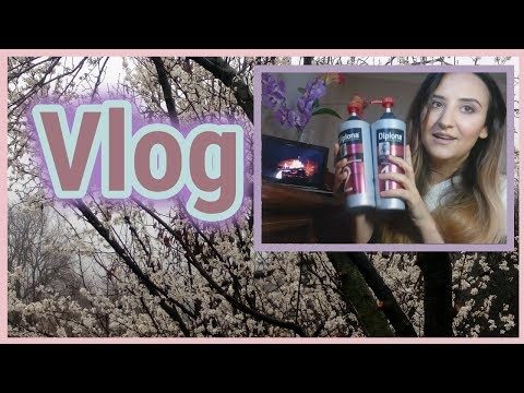 VLOG ახალი პროდუქტები,არდადეგები დასრულდა,