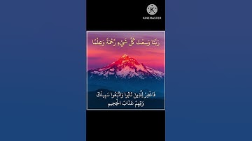 ربنا وسعت كل شيئ رحمةً وعلما 🌸أيات مباركة من سورة غافر 🌸القارئ الشيخ ماهر المعيقلي